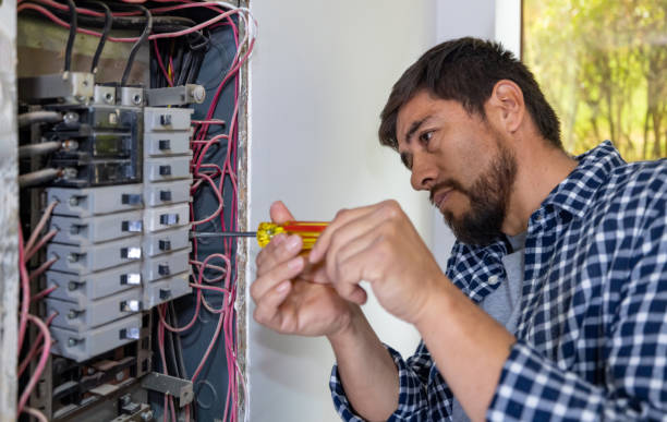 Best Electrical Panel Upgrades  in Brookneal, VA